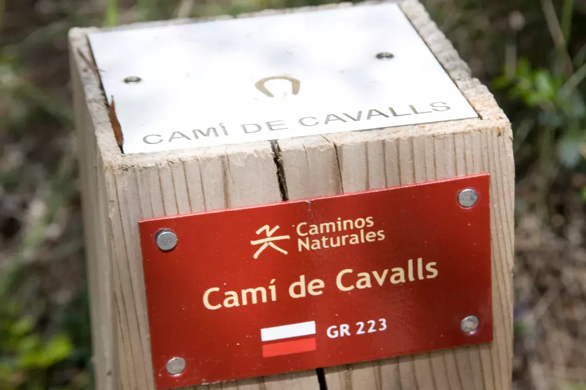 Image of What is the Camí de Cavalls?